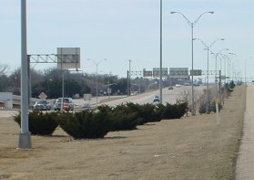 Kell Freeway Median in Winter