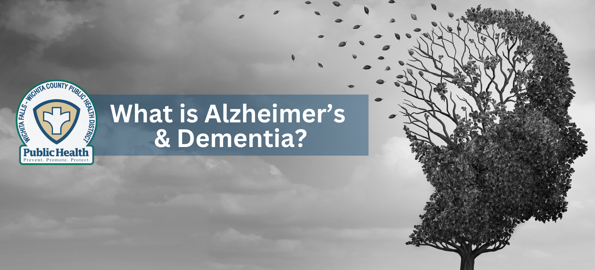 What is Alzheimers and Dementia 1