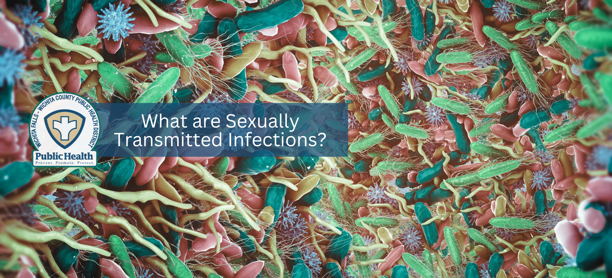 Subpage_What are Sexually Tansmitted Infections 1