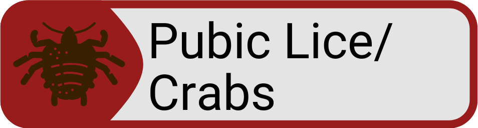 Button Pubic Lice