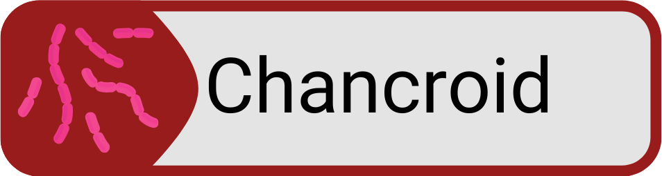 Button Chancroid