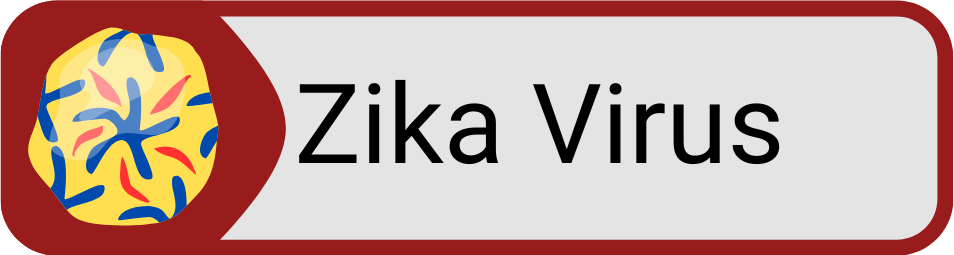 Button Zika Virus