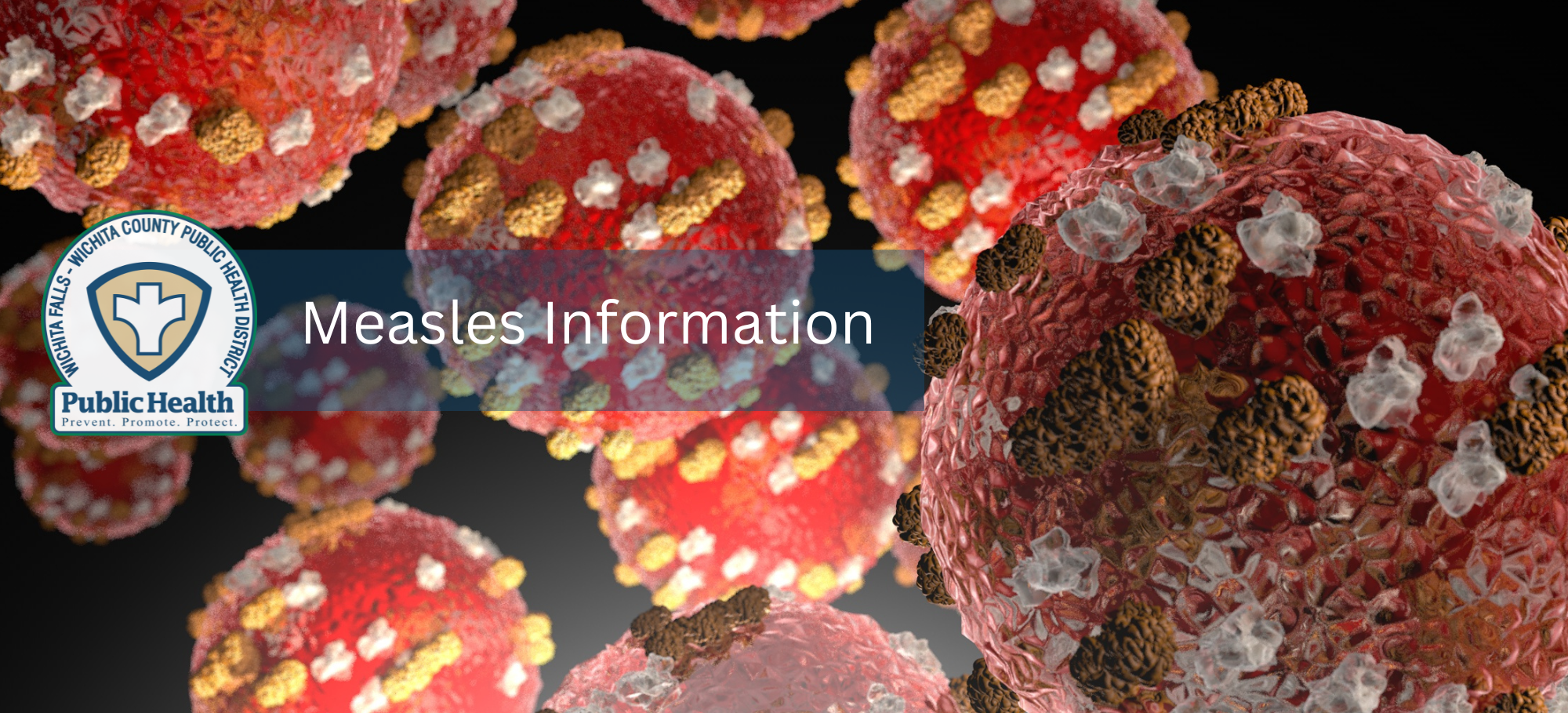 Measles Information Top Banner Only