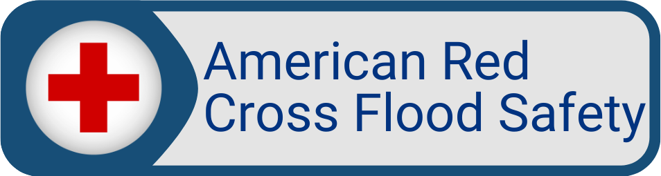 Button American Red Cross Flood