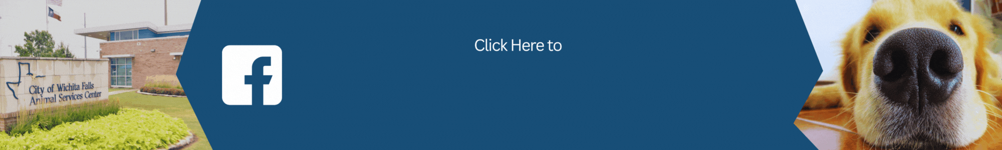 Animal Services Follow us on Facebook