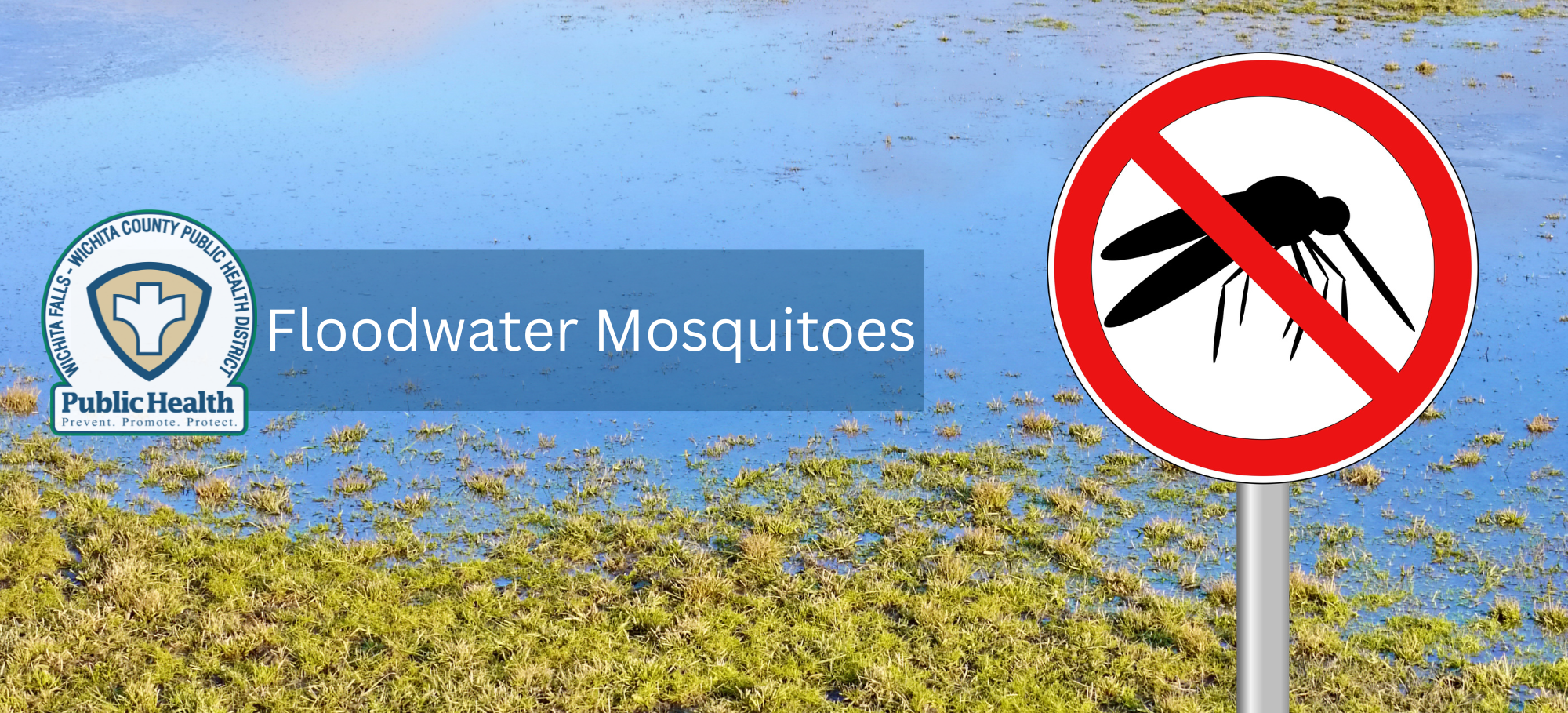 Floodwater Mosquitoes Banner Only