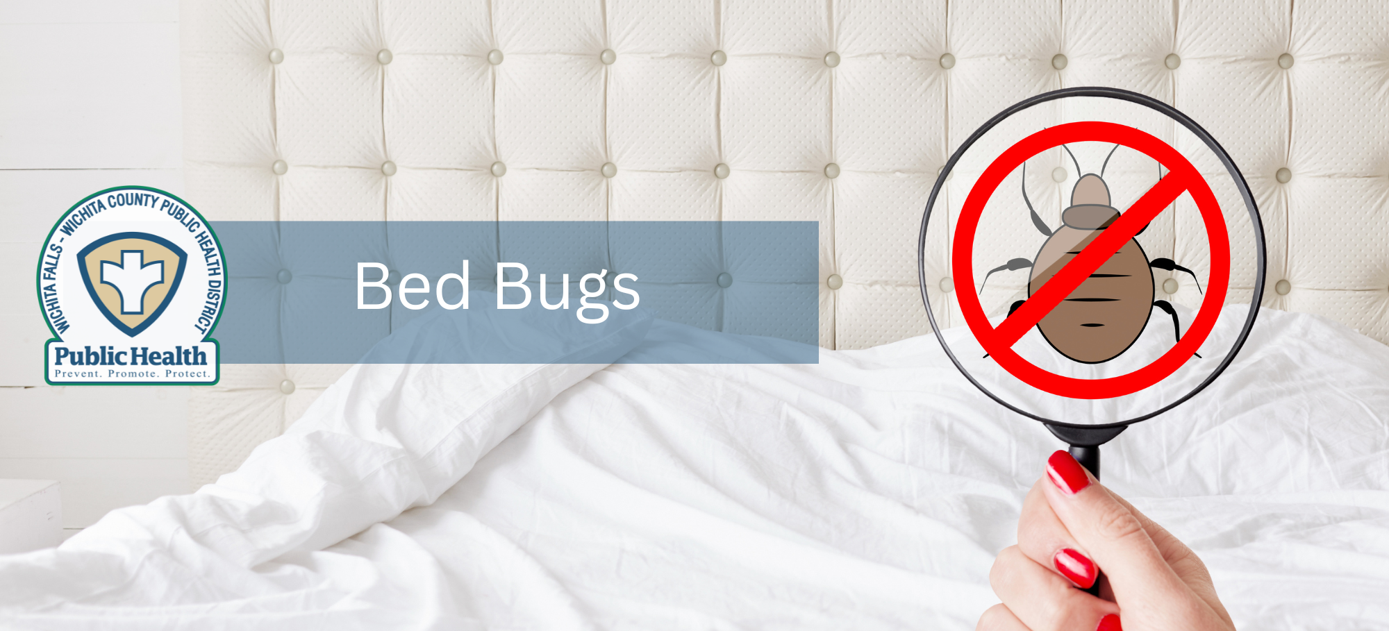 Bed Bugs Banner Only