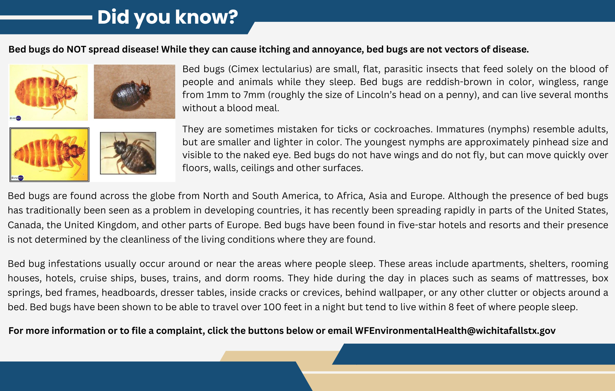 Bed Bugs Text Box Only