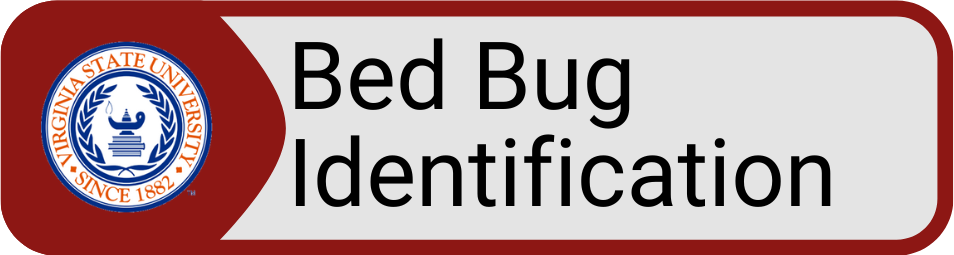 Button VSU Bed Bug Identification