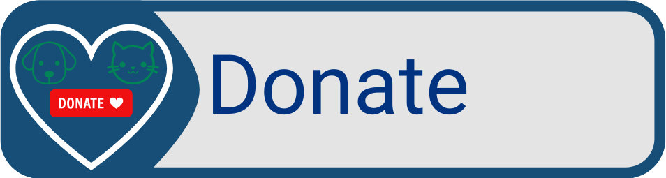 Button Donate