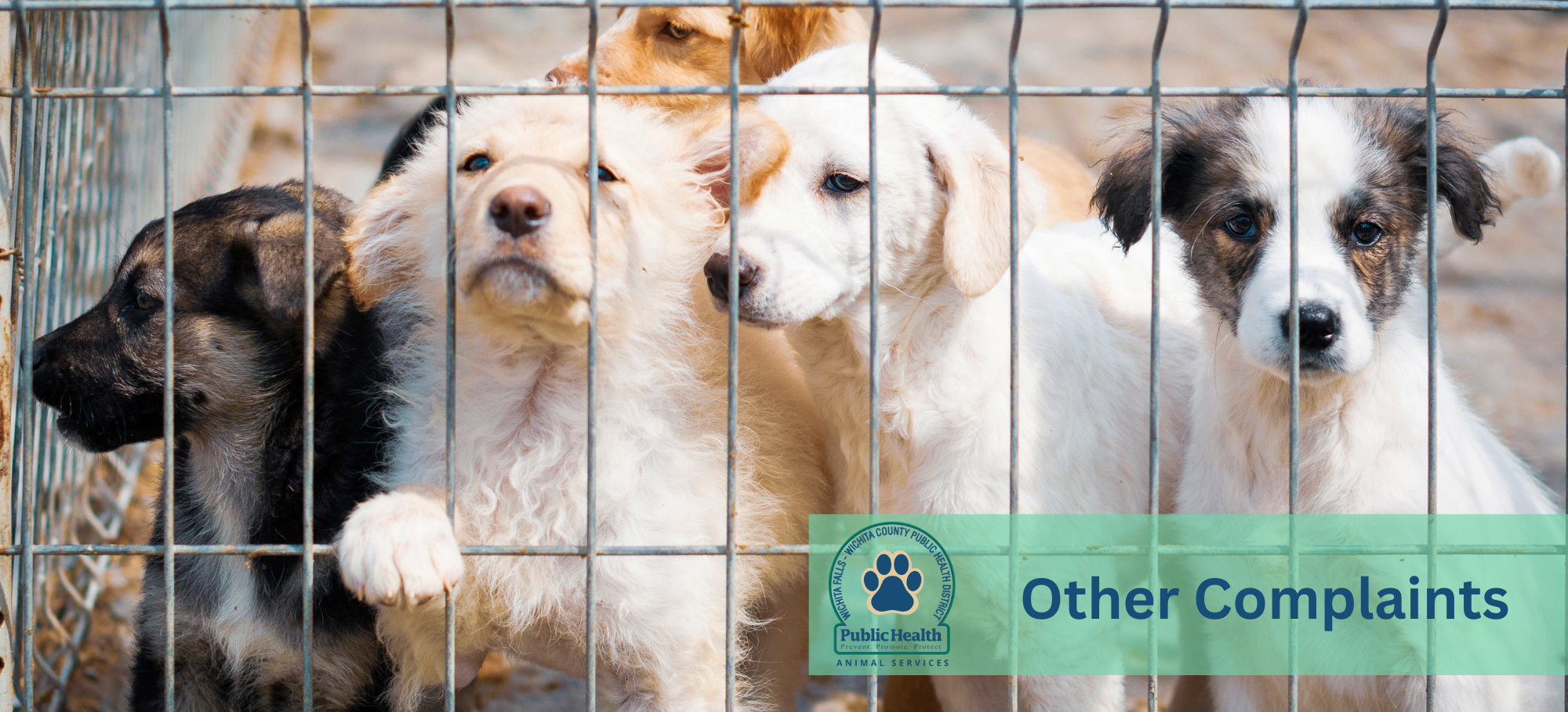 Other Complaints Banner