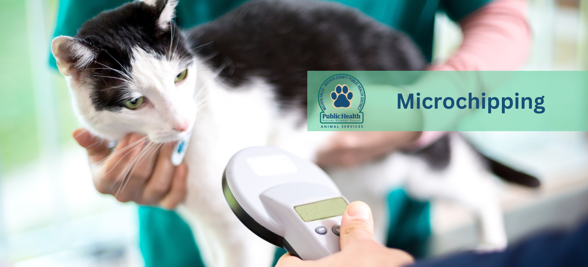 Animal Services subpage  Microchipping