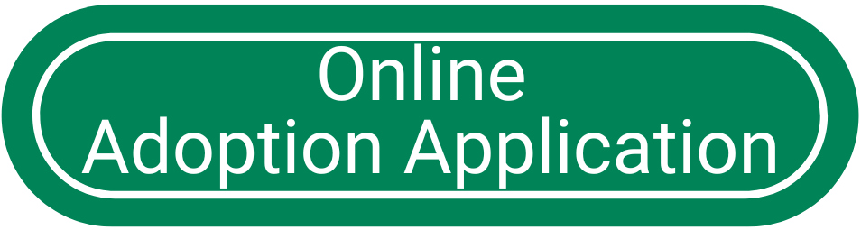 Animal Services Sub Green Buttons Adoption app online