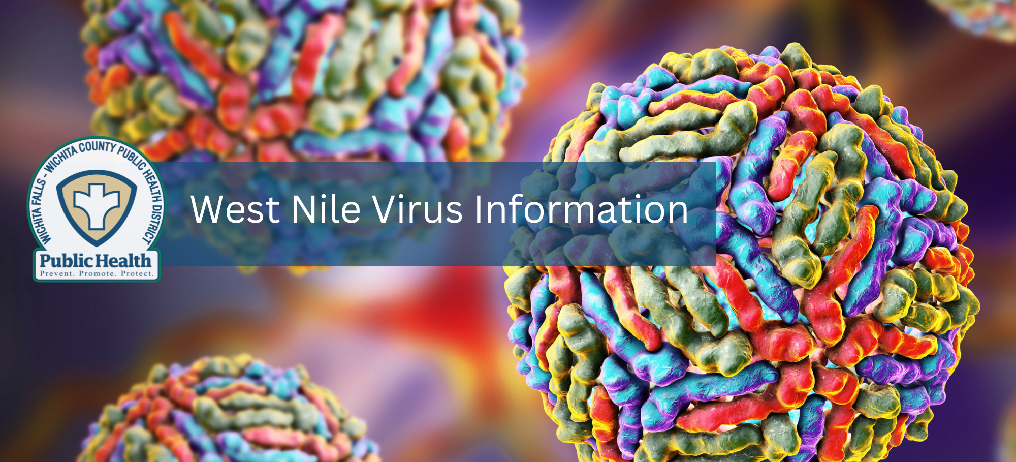 West Nile Virus Information Top Banner Only